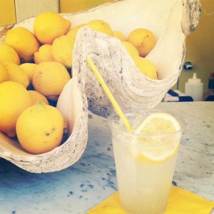 Lemons Into Lemonade for Lilly Pulitzer